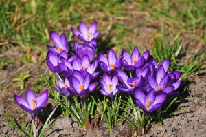 czy warto kupić pralko suszarkę